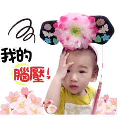 Q小丁格格金安