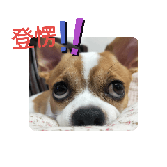 ㄋㄟㄋㄟ好朋友