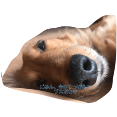 ask_20191012175033