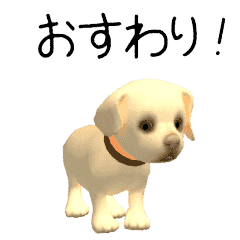 Golden Retriever CG puppy