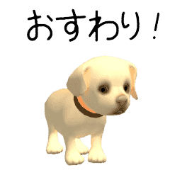 Golden Retriever CG puppy