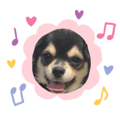 mayumi_20191012193232