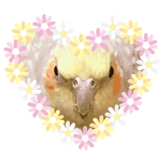 インコ Lineクリエイターズスタンプまとめ Stamplist Part 2 インコ Lineクリエイターズスタンプまとめ Stamplist Part 2