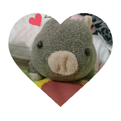 Puly 生活
