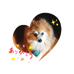 ponta_20191012211058