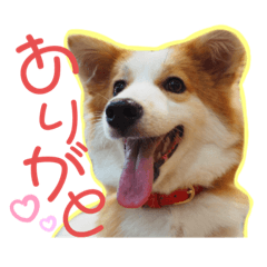 yuyu_20191012204936