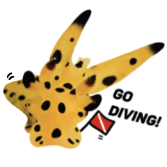 Love Diving 2 &Cute Nudibranch
