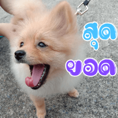 My name is AuWu