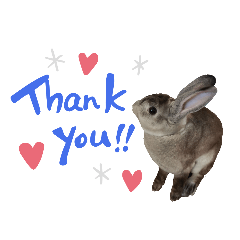 Michael the Rabbit – LINE stickers | LINE STORE