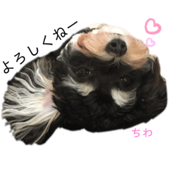 honey2-20191012231406