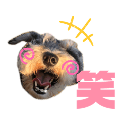 suzu_20191012202712