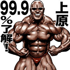Uehara dedicated Muscle macho sticker