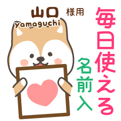 [YAMAGUCHI]Cute brown dog. Shiba Inu
