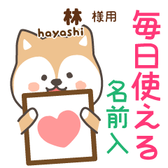 [HAYASHI]Cute brown dog. Shiba Inu