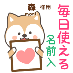 [MORI]Cute brown dog. Shiba Inu