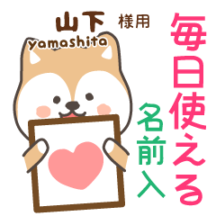 [YAMASHITA]Cute brown dog. Shiba Inu