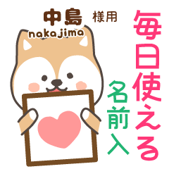 [NAKAJIMA]Cute brown dog. Shiba Inu