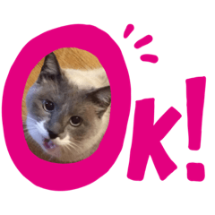 yurina_20191013021449