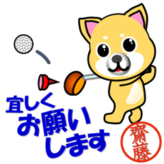 Dog called Saito2 which plays golf