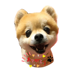 eiko_20191012202526