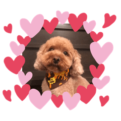 moko_20191013121723