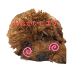 eve_20191013123631