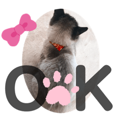 TON_20191013145731