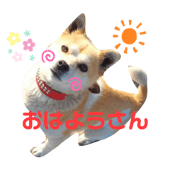 SUMIRE_20191013151858