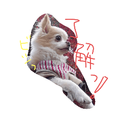 junko_20191013155113