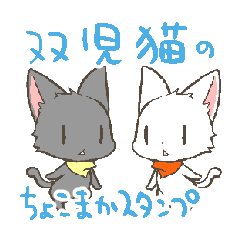 Twin kittens Zucku&Pocke [No,4]