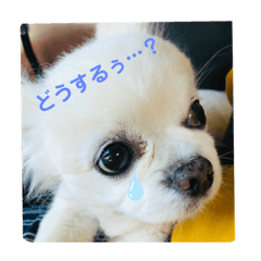 chi_20191013101735