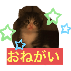 tomomi_20191013163757