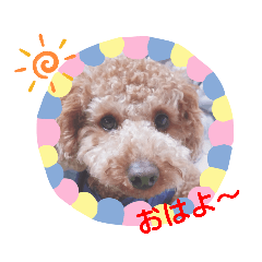 kiyo_20191013154607