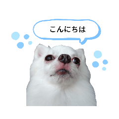 asari_20191013174312