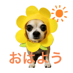 HANA_20191013191300