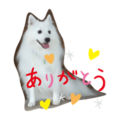 tetsu_20191013214711