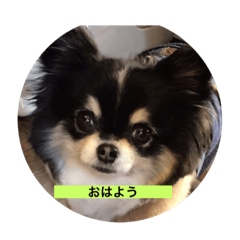 kuu_20191013230349