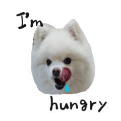 ponta_20191013153103