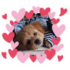 mako_20191014053106
