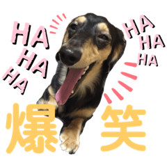 asuka_20191014001836