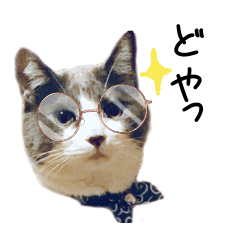 Cat stamp ARU-HAKU
