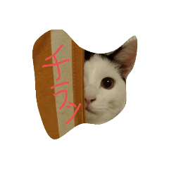 kazuki_20191013221635