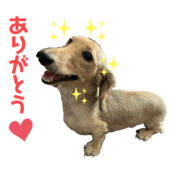 HANA_20191014030145