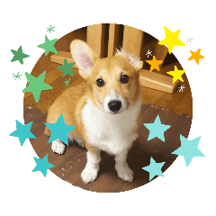 KAITO_20191013223501