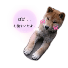 gonchan26
