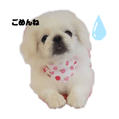 mame_20191014074736