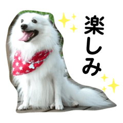 tetsu_20191014095839