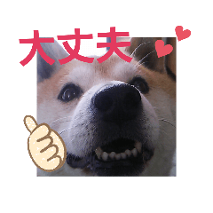 ponta_20191014125045
