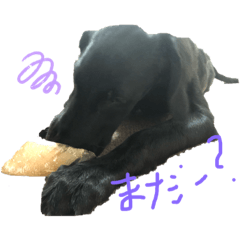 so_20191014131104
