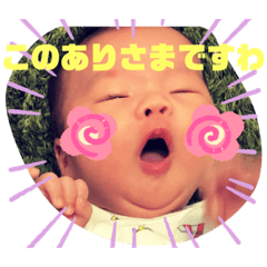 hachi_20191014153217